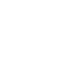 the challenge puzzle pieces